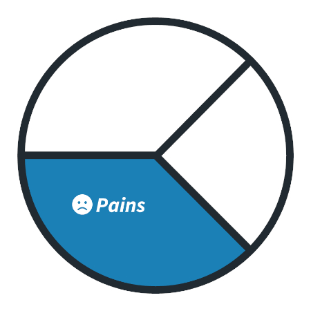 Customer Pains - Customer Profile